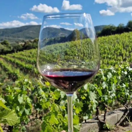 Alojamento de Acomodação e Pequeno-almoço La Tappa Del Vignaiolo 3*