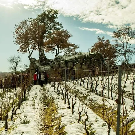 La Tappa Del Vignaiolo 3*