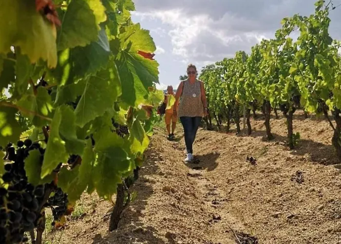 La Tappa Del Vignaiolo Bed & Breakfast 3*