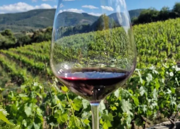 Bed & Breakfast La Tappa Del Vignaiolo 3*